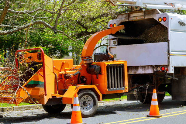 Best Hazardous Tree Removal  in Mobile, AL